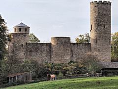 Bild: Burg Laufenburg - Ansicht von Osten