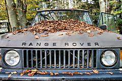 Bild: Range Rover