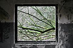 Bild: Fenster im Gartenhaus