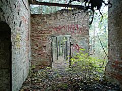 Bild: Ruine des Pavillons "Alpenhaus" / Lungenheilstätte für Frauen B2