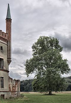 Bild: Schloss Broock