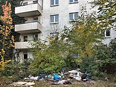 Bild: Kringelkamp Hinterhof