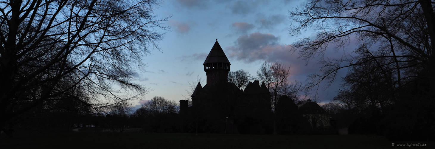 Titelbild von Burgen