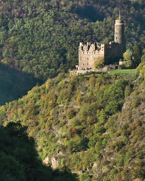 Titelbild von Burgen des 14.Jahrhunderts