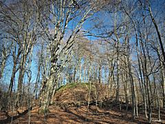 Bild: Motte Aldeberg - Hügel der Kernburg