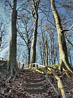 Bild: Motte Aldeberg - Aufgang zum Hügel der Kernburg