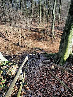 Bild: Motte Aldeberg - Aufgang zum Hügel der Kernburg