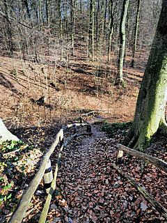 Bild: Motte Aldeberg - Aufgang zum Hügel der Kernburg