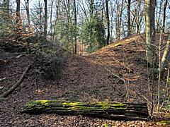 Bild: Motte Aldeburg - westlicher Hauptzugang zur Vorburg