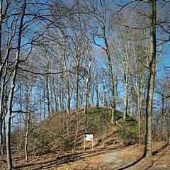 Bild: Motte Aldeberg - Hügel der Kernburg