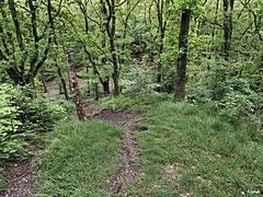Bild: Blick nach unten zur Schlucht - Alte Burg Alpen