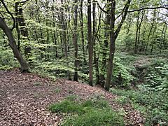 Bild: Blick hinunter zum Halsgraben - Alte Burg Alpen