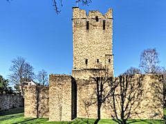 Bild: Burg Altendorf