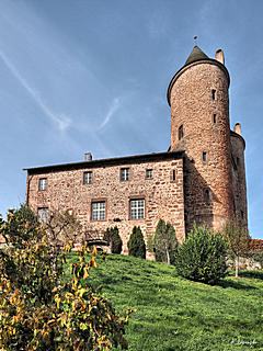 Bild: Bertradaburg - Torbau und Wohnhaus auf Fundament des alten Saalbaues