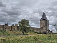 Bild: Innenseite der Altstadtmauer auf dem Wall und Grabenturm