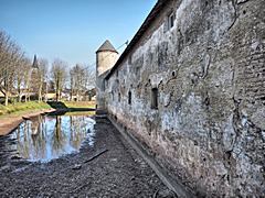 Bild: Burg Friesheim