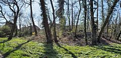 Bild: Motte Garath - Burghügel (Panoramafoto)