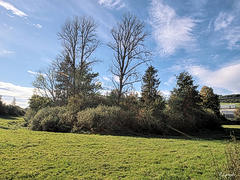 Bild: Burg Gevern