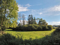 Bild: Burg Gevern