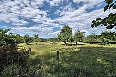 Bild: Wallburg Giekau, Blick zum Innenraum