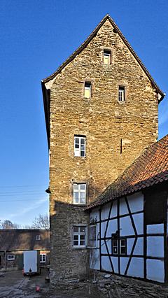 Bild: Burg Gräfgenstein - Wohnturm
