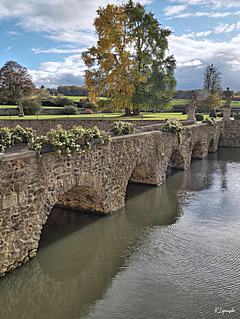 Bild: Burg Gudenau - Brücke zum Park