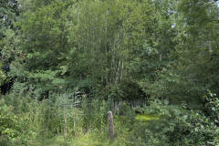 Bild: Motte Havekost - kaum sichtbar: Wassergraben und mit Holzpalisaden befestigter Turmhügel