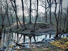 Bild: Motte Helpenstein