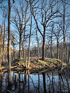 Bild: Motte Helpenstein