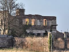 Bild: Burg Hemmerich - Rückseite der Herrenhaus-Ruine
