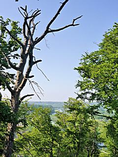 Bild: Isenberg - Ausblick über das Ruhrtal