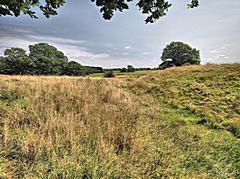 Bild: Burggraben und Wall