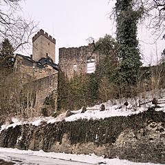 Bild: Burg Kerpen - Ruine der Vorburg und Bergfried