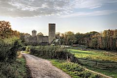 Bild: Burg Laufenburg - Ansicht von Osten