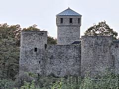 Bild: Burg Laufenburg -Ansicht von Osten