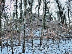 Bild: Schloss Liedberg