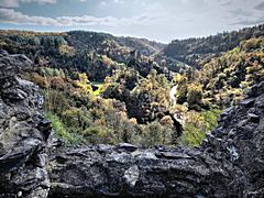Bild: Ausblick über Tal und Niederburg