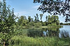 Bild: 