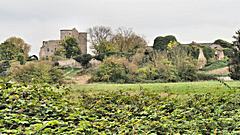 Bild: Burgruine Nothberg - Herrenhaus (links) und Vorburg (rechts)