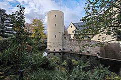 Bild: Burg Odenhausen