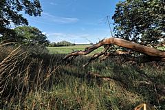 Bild: Blick vom Plateau zum Kleinen Schlichtenberg - Wallburg Großer Schlichtenberg