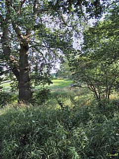 Bild: Blick vom Burghügel - Motte Kleiner Schlichtenberg