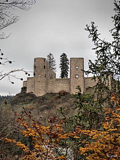 Bild: Burg Schönecken
