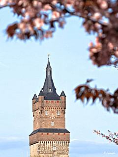 Bild: Schwanenburg - Schwanenturm, Turmhelm mit Eckwarten über Wehrgangebene