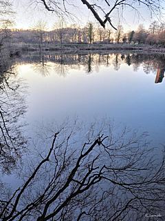 Bild: Tüschenbroich - Blick über den Schlossweiher