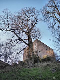 Bild: Motte Wassenberg