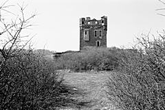 Bild: Burg Wernerseck - Donjon (März 2003)