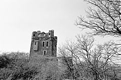 Bild: Burg Wernerseck