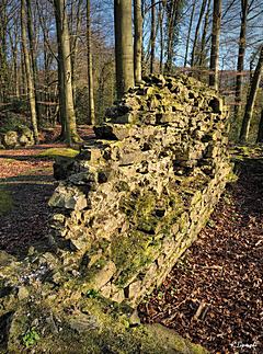 Bild: Motte Zoppesmur - Mauerreste des Turms