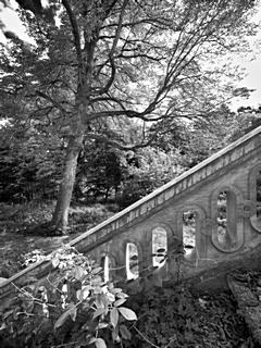 Bild: Treppe zum Park